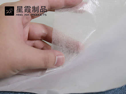 帶背款熱熔膠網(wǎng)膜