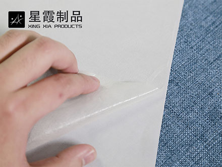 帶離型紙熱熔膠網(wǎng)膜