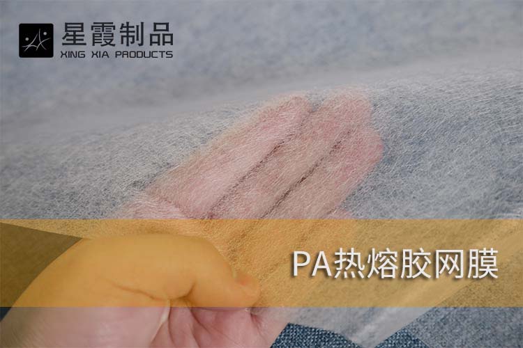 PA熱熔膠網(wǎng)膜