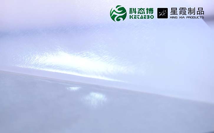 帶背紙PES熱熔膠膜